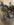 8088BBEF-B78C-4EA1-8CDC-656E6C28E810.jpeg