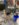 9D422814-8953-43D1-89EB-1A82CFA6F61B.jpeg