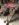 21A5F708-84E1-49B4-A522-8BD1EFAC9F59.jpeg