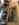 845BCE7A-69DD-4261-A6BA-6805556CF03A.jpeg