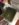 FF038952-4CE3-4D61-BB65-1BF3A1BA7B81.jpeg