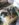 DBEEEBBC-BF80-4623-BA83-8CD1E9EF175B.jpeg