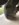 6652645B-774C-4628-9F85-8C42F233AACA.jpeg