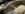 C720B7D4-B7C7-4B4B-8477-CD67FCB936B7.jpeg