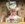 6E2211DB-30DD-4DEF-8B9F-412368A3D431.jpeg
