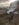 0BAFD7E5-336C-464E-AC97-4D763820F151.jpeg
