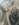 68CC4C79-7BAA-454A-B1FA-63C93B4EE7E9.jpeg