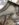 6427141B-2669-4D0C-AC79-99435A195E22.jpeg