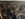 A0F6102B-9DAC-44CB-8E3C-70996A927864.jpeg