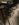 C6D75EFF-526E-4D6F-8143-F37078C4D32B.jpeg