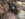 61E0D9B2-06EB-4993-ADDC-85DBAE213CD6.jpeg