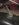 8047015B-51BD-47A7-B557-3A0E98CFE217.jpeg