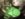 48379F76-6CE9-45CE-B746-F5B5CA58463D.jpeg