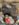 562E162C-3EB8-4350-B37A-1BE5178429EF.jpeg