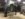 66990F57-B969-4B9D-ADE3-B5C673CF36B8.jpeg