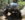FAV IMG_6129.JPG
