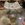 C17D938A-D3A5-4985-A132-BD23ED3C1F10.jpeg