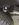 received_1264590770368978.jpeg