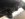received_420216442034053.jpeg