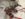 912F56A7-4BC2-4652-A7CA-0210F8D162C0.jpeg