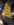 IMG_20191103_160357.jpg