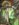 F3BAE132-820B-4C98-9CF9-1ADBFB79B0EB.jpeg