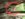 75E1B861-CE0D-408E-8875-39FCED9E7F83.jpeg