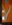 20191104_172124.jpg