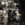E962D70E-2821-4785-B6AC-B982436636B4.jpeg