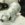 IMG_20191103_201531_355.jpg
