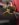 8F45CEE1-2DB8-44B4-9344-D783507DFE8E.jpeg