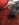 90EE21C2-8D4C-433D-B35B-C1A639FEA6C8.jpeg