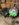 32E7E238-F80C-400A-AD59-5FC4AE61B42B.jpeg