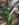 4F340454-C2C3-41FA-B14F-947CC9BDAB44.jpeg