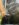 8BE406D4-684F-4FF9-A44C-47B3C5C6525E.jpeg