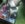 CC2B9A34-CCF7-4B54-BAD5-443032992BB4.jpeg