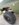 A7DE6A8C-AFEF-47F9-AFC1-4E9A023B455C.jpeg