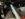 514F895D-3CB8-4F6B-9494-6D5751ED549D.jpeg