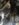 5916388B-4852-4B02-8BB3-1EE62B810BC0.jpeg