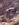 9CA189A8-33AC-43C2-914C-32D5E4054E71.jpeg