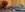 20190531_125454.jpg