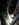 1C5D3AA1-FA9A-4E6A-B44A-1925B2E3BD12.jpeg