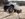 8AB07F08-3A2C-49D4-9DC3-13194C1993B4.jpeg