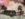 EB17477F-0846-440E-8432-A973C2773755.jpeg