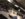 AD0716AE-836C-44FA-8972-0C4FB59FD1CD.jpeg