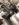 67B84BBF-48F7-49AF-BA6F-3521B6089792.jpeg