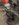 5E51A90B-0F04-4BF8-B64A-2C173614AFEC.jpeg