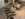 438EE5A8-CACE-412A-8824-EC9E6F380ABE.jpeg