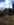 F2E55690-6A8B-442B-B0FC-FB0F5E681974.png