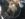77C78316-1B51-41CF-BAD3-99BBE9D468FB.jpeg